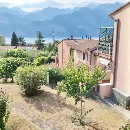 Paradise * マルチェージネ